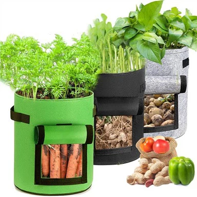 حقيبة غير منسوجة للنباتات